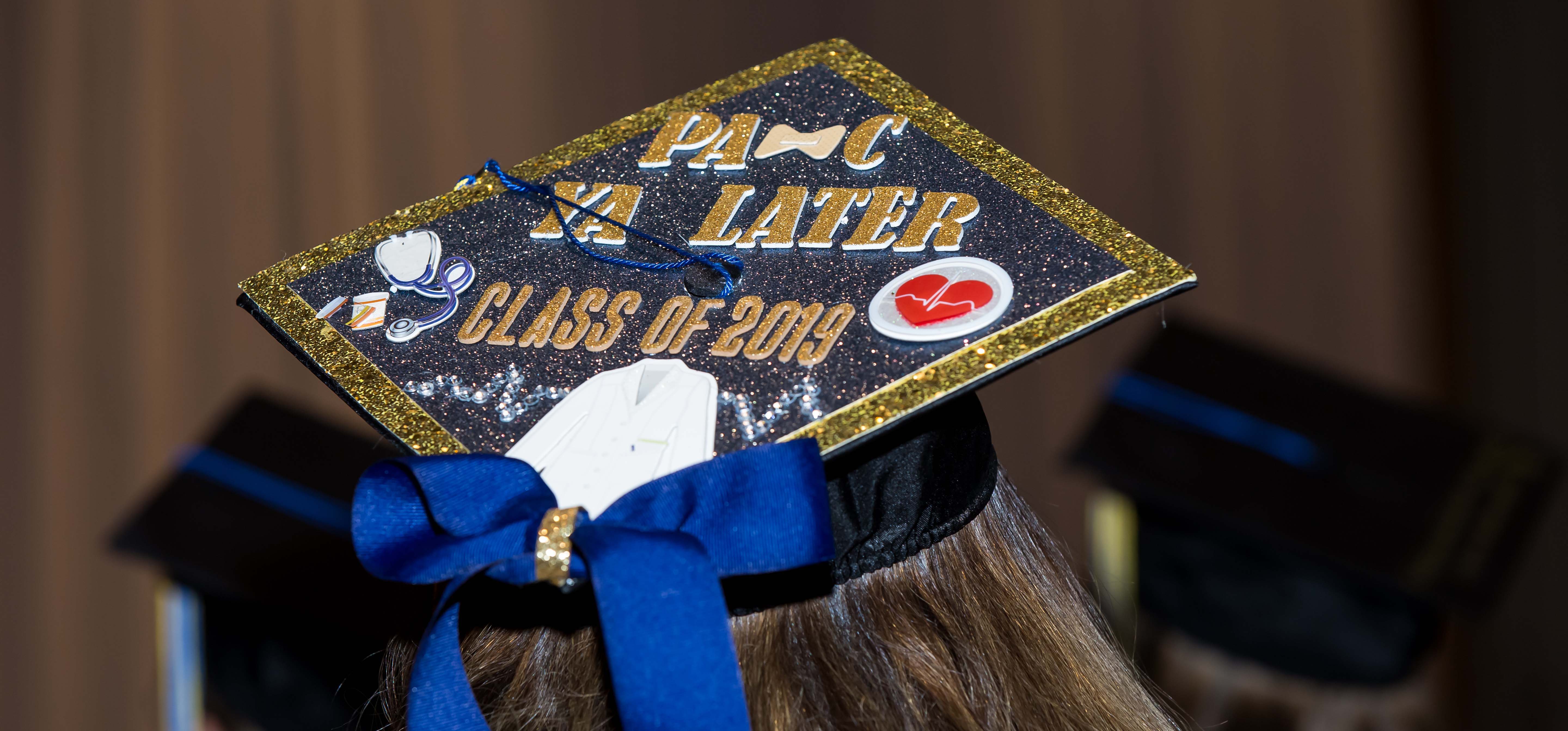 School of Physician Assistant Studies Graduation Cap from Winter Commencement 2019
