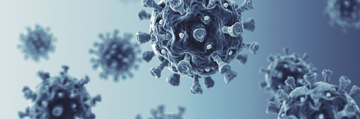 Microscopic close-up a virus, showcasing structure and surface details.